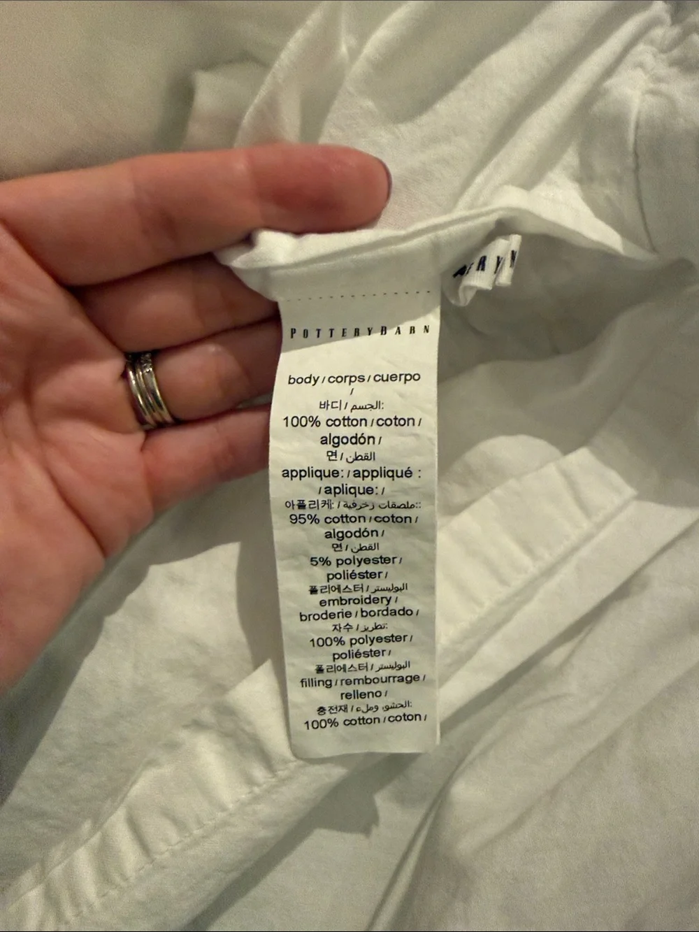 Pottery Barn Embroidered Shams